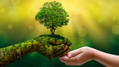 Earth Day 的图像结果