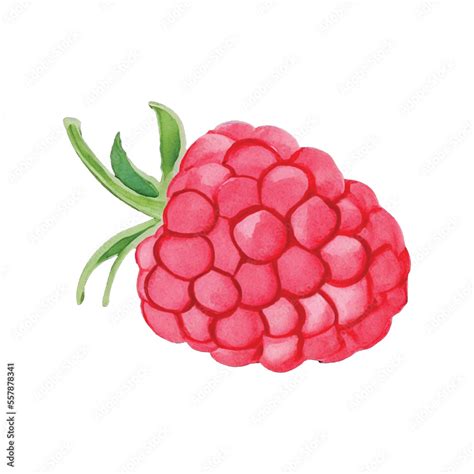 Image result for Raspberry Color Artwork