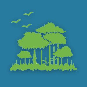 Jungle Cover in Tanks