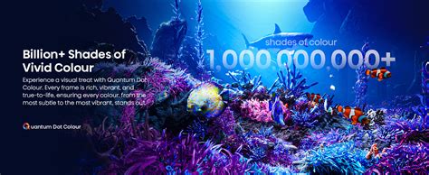 Hisense 139 cm (55 inches) Q7N Series 4K Ultra HD Smart QLED TV 55Q7N ...