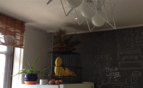 AARK GUEST HOUSE (Gangneung) - Hostel Reviews, Photos, Rate Comparison ...