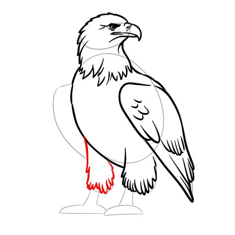 Learn How to Draw a Bald Eagle Full Body in Easy Steps