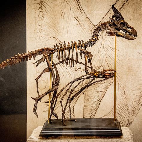 MUSEUM OBSCURUM - All You Need to Know BEFORE You Go 2026 (with Photos ...