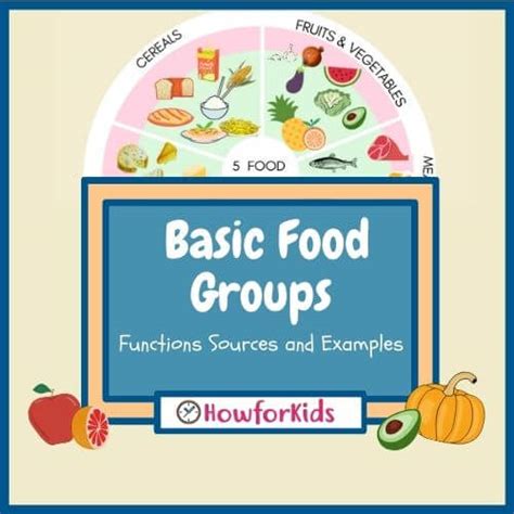 Image result for Five Basic Food Groups