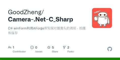 AForge.NET Camera Tutorial VB.NET 的图像结果