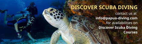 PADI Dive Courses - Papua Diving