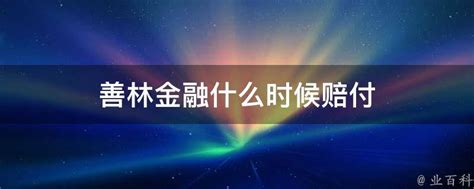 善林金融什么时候赔付 - 业百科