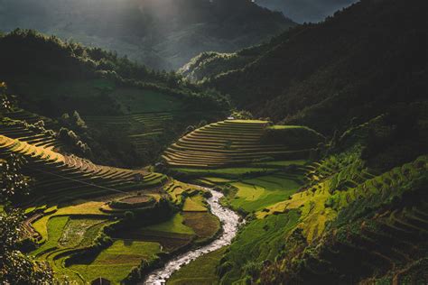 Nature Valley 的图像结果