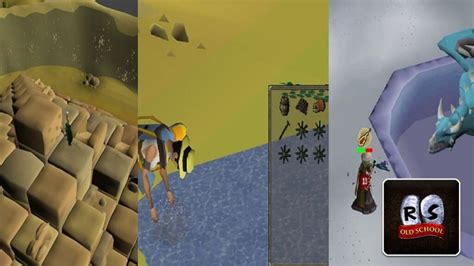 Image result for OSRS Money Making Guide 2020