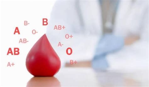血型遗传规律表的介绍