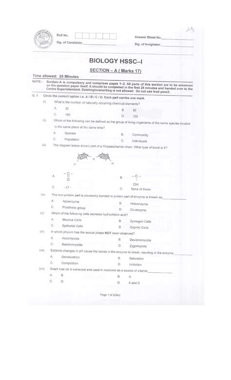 Biology - kaja dslajs dsla dla sdl alsd las dl asl das - Umayyads and ...