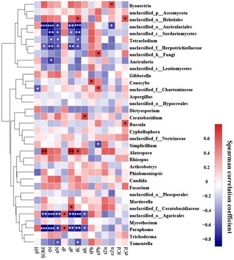 Microorganisms | Special Issue : Biotechnology for Environmental ...