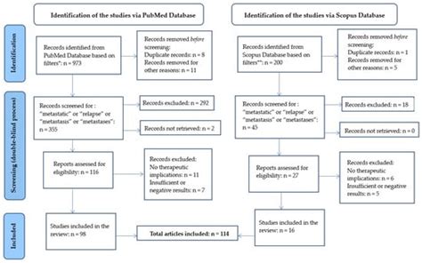 Update on Classic and Novel Approaches in Metastatic Triple-Negative ...