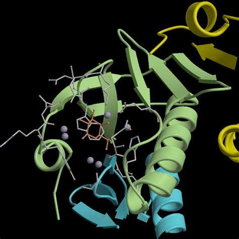 Image result for Free Sample Images Tiff Format