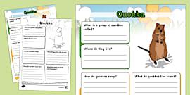 What Is A Quokka? - Twinkl Teaching Wiki - Twinkl