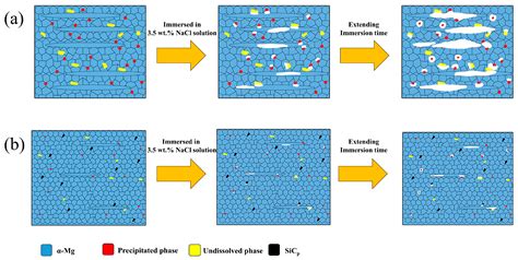 Regulating the Mechanical and Corrosion Properties of Mg-2Zn-0.1Y Alloy ...