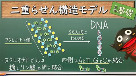 Image result for Loops Definition Computer Science