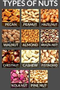 Nuts Chart Poster (Paper, Multicolour, 13X19 Inch) Paper Print ...