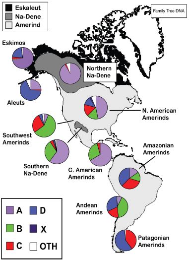 Uncover Your Asian & Native American DNA Ancestry
