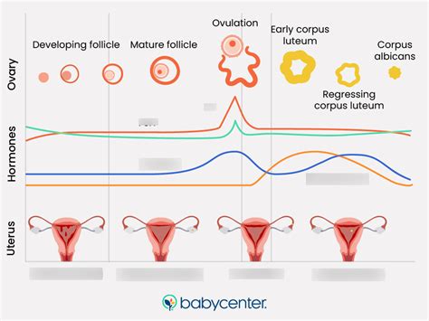 Period Cycle Graph 的图像结果
