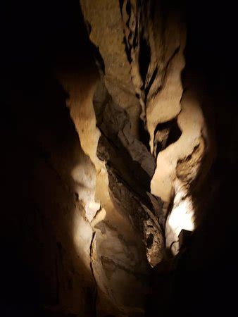 Grand Avenue Tour (Mammoth Cave National Park) - 2022 What to Know ...