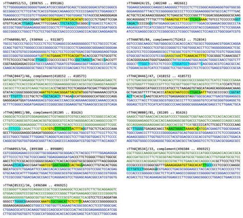 Discovering the DNA-Binding Consensus of the Thermus thermophilus HB8 ...