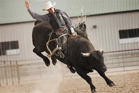Download A Man Riding A Bull | Wallpapers.com