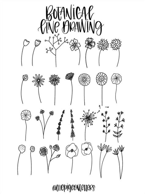 Image result for Drawing Tutorial for Flower