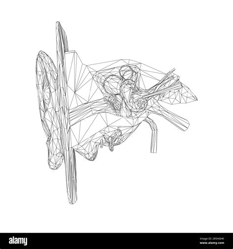 Image result for Ear Drawing Tutorial