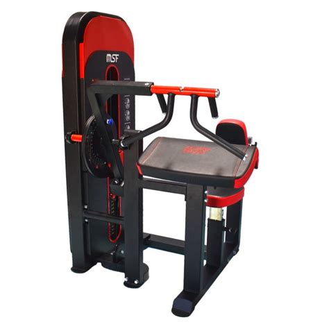 Bicep / Tricep Combo (Magnum) — MSFFIT