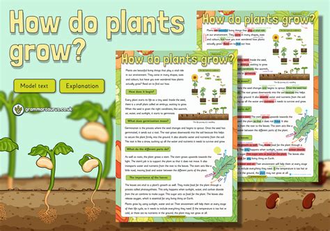 How Do Flowering Plants Grow Explanation Text at Lucy Sutcliffe blog
