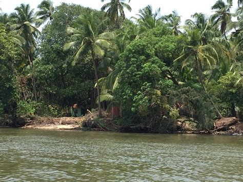 Karli Backwaters (Tarkarli) - 2020 What to Know Before You Go (with ...