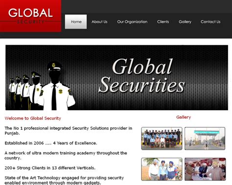 MlM India Portfolio, MLM Website Design Amritsar, Delhi, MLM Software ...