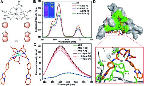 Image result for 7th Grade EC Structure