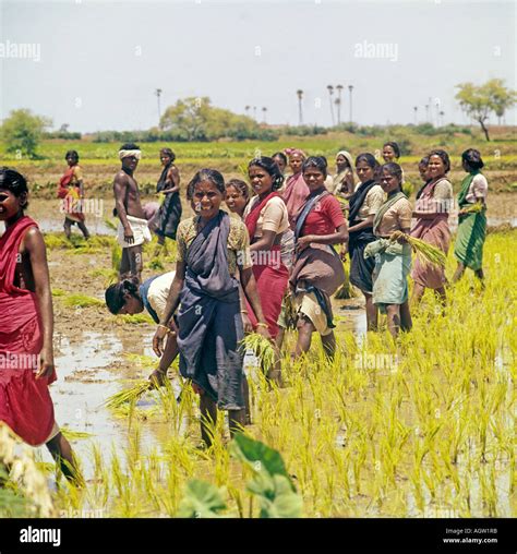 Poor people kerala hi-res stock photography and images - Alamy
