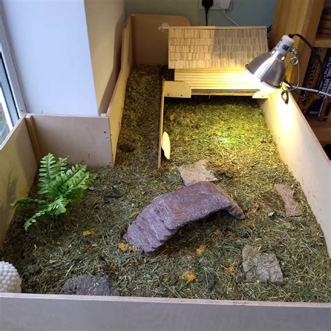 Image result for Tortoise Table