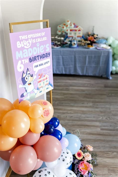 Bluey Birthday Party Ideas | Photo 2 of 80 | Catch My Party