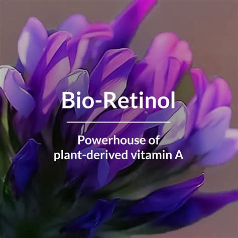 Get Youthful Skin with Bio-Retinol Anti-Ageing Combo - Unlock The ...