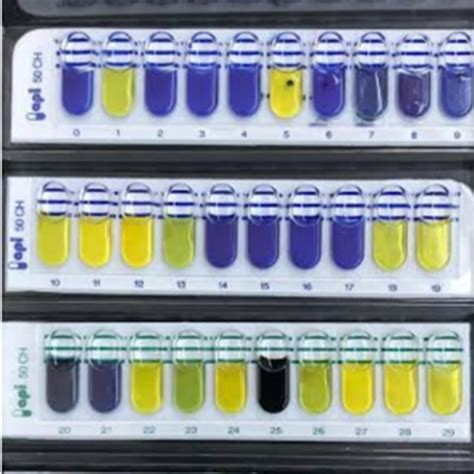 Image result for API Identification Bacteria Expensive