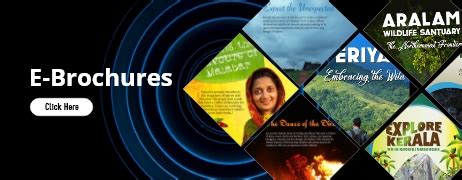 Explore the Eco-Tourism Packages of Silent Valley National Park ...