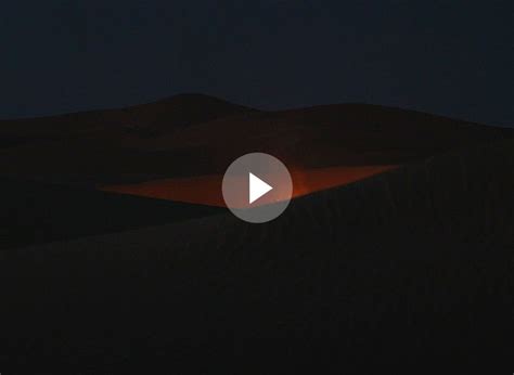 Pure Argan Oil – Moroccanoil