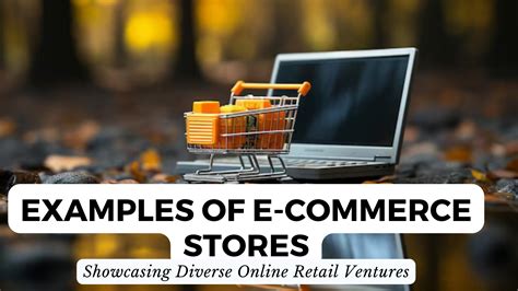 E-Commerce Examples 的图像结果