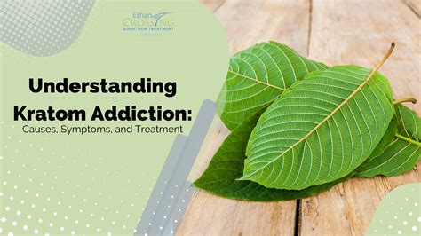 Understanding Kratom Addiction - Ethan Crossing