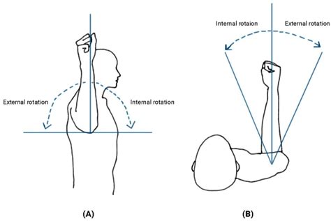 Ortho Globe | Scapular stabilisation and rotator cuff strengthening