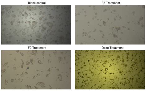 Evaluations of Andrographolide-Rich Fractions of Andrographis ...