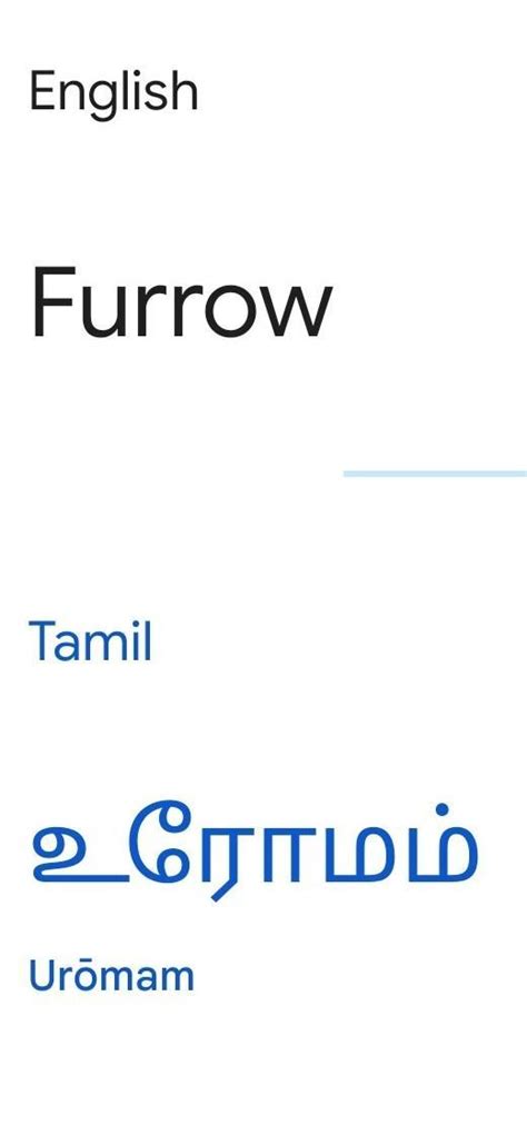 Furrow meaning in tamil - Brainly.in