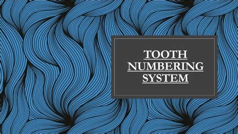 Image result for Tooth Numbering System