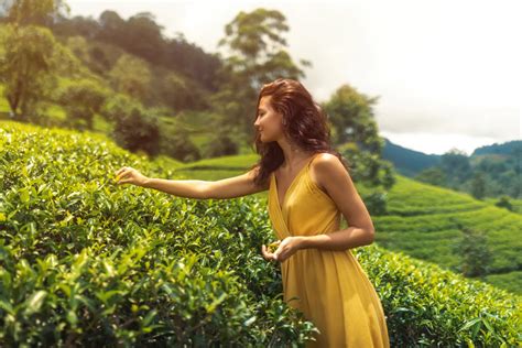 Glow Up from the Inside Out: Tea, Skin & Hormone Balance Explained ...