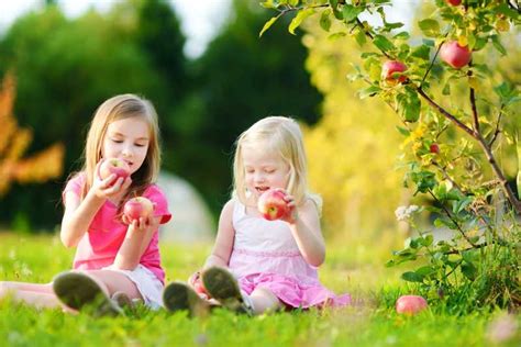 拿着苹果的小女孩图片-坐在草地上拿着苹果的小女孩素材-高清图片-摄影照片-寻图免费打包下载