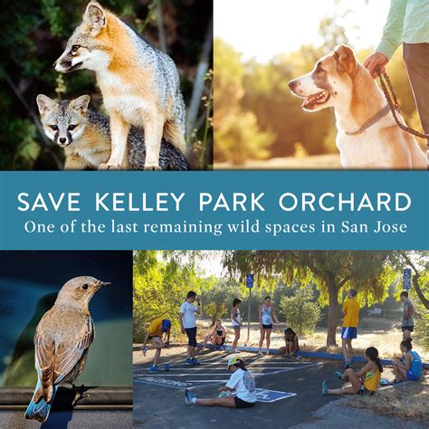 Petition Save Kelley Park Orchard from Development (San Jose, CA)